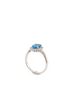 Private Label CvdK Private Label CvdK witgouden halo ring diamant/topaas