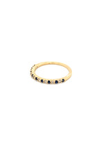 Private Label CvdK Private Label CvdK gouden ring diamant/saffier