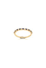 Private Label CvdK Private Label CvdK gouden ring diamant/saffier