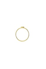Italo Bottene Italo Bottene ring in 14 krt. geelgoud