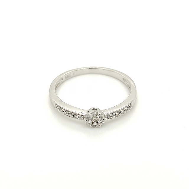 Private Label CvdK Private Label CvdK ring in 14 krt. witgoud met diamanten