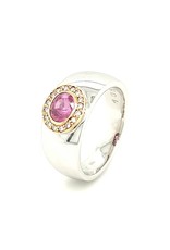 Private Label CvdK Private Label CvdK ring in 14 krt. wit- en geelgoud met saffier en diamant