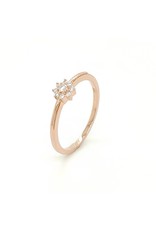 Private Label CvdK Private Label CvdK entourage ring in 14 krt. roségoud met diamant