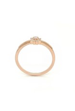 Private Label CvdK Private Label CvdK entourage ring in 14 krt. roségoud met diamant