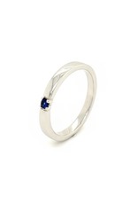 Private Label CvdK Private Label CvdK ring in 14 krt. witgoud met saffier