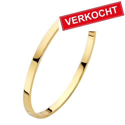 Fjory Fjory geelgouden armband met zilveren kern