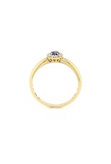 Private Label CvdK Private label CvdK ring in 14 krt. geelgoud met saffier en diamant