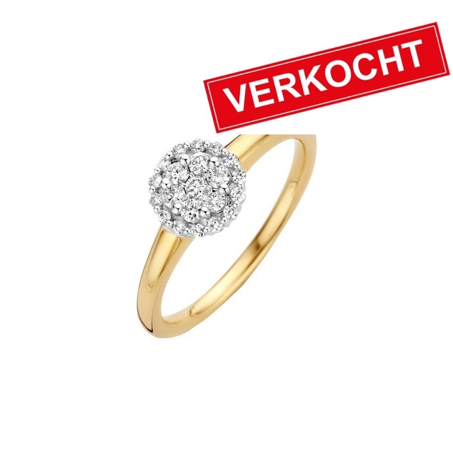 Private Label CvdK Private Label CvdK entourage ring in 14 krt. geelgoud met diamant