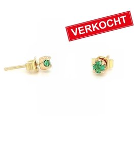 Private Label CvdK Private label CvdK oorknoppen