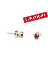 Private Label CvdK Private label CvdK oorknoppen in 14 krt. witgoud met robijn