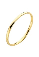 Private Label CvdK Private label CvdK geelgouden armband met zilveren kern