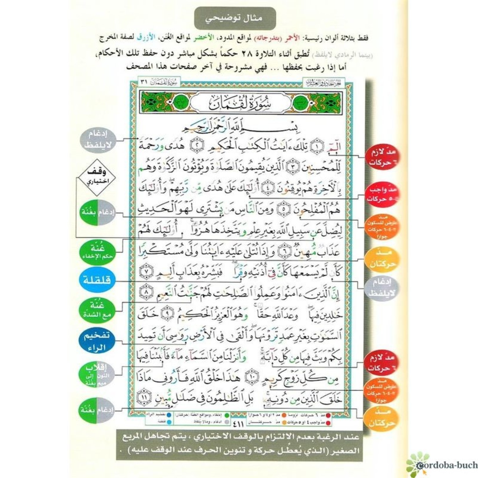 Quran Tajweed   (Tajwied) Hafss arabisch 24x17cm