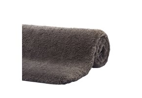 Badmat MAURO Ash-109