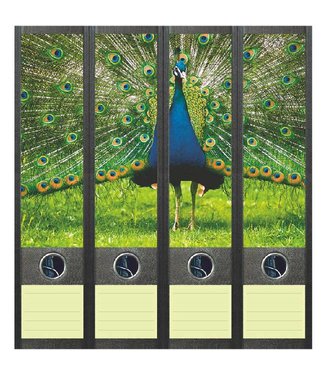 Rugetiket Blauwe Pauw Rugetiket Blauwe Pauw