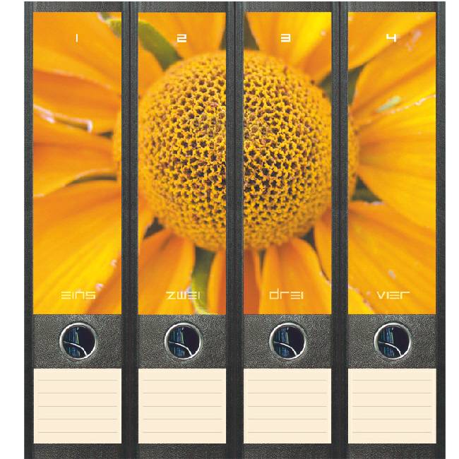 Rugetiket Zonnebloem