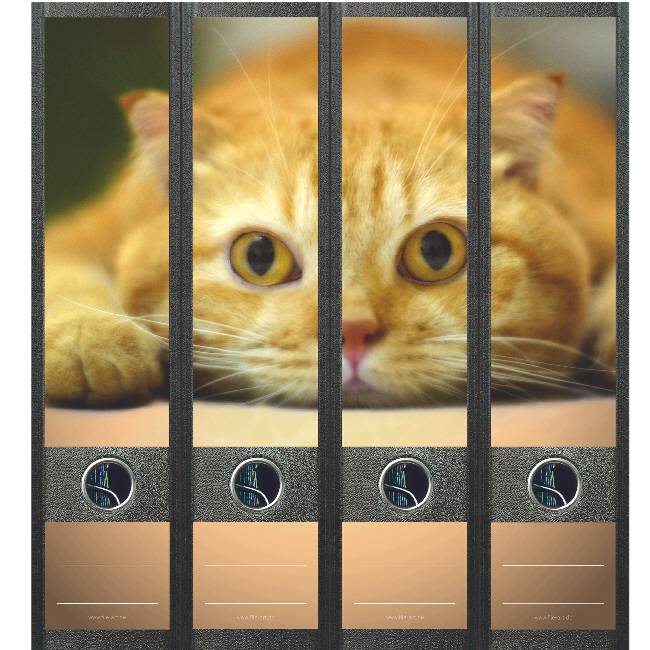 Rugetiket Liggende poes