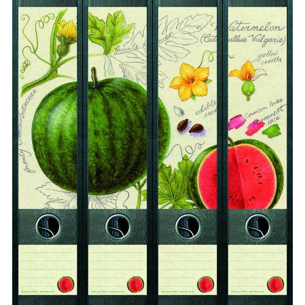 Rugetiket Water Melon