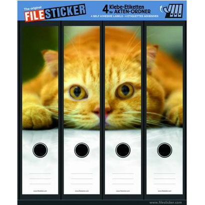 Filesticker Rode Poes filesticker kopen in de aanbieding Filesticker Rode Poes filesticker kopen in de aanbieding