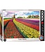 Puzzel - Tulip Fields Netherlands (1000)