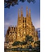 Puzzel - Sagrada Familia (1000)