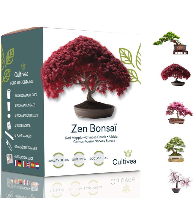 Groei je eigen Zen Bonsai