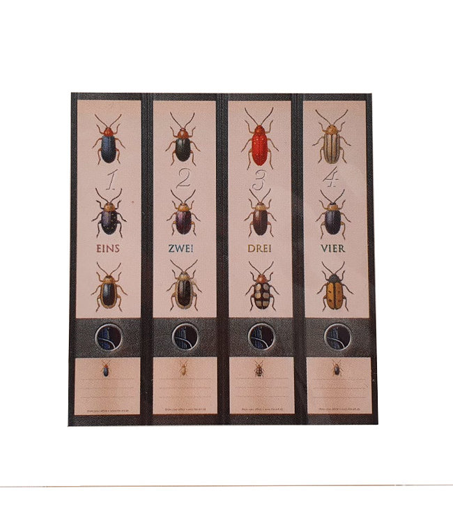 Rugetiket Beetles