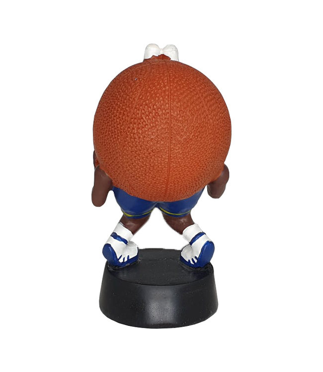 Brillenhouder Basketball