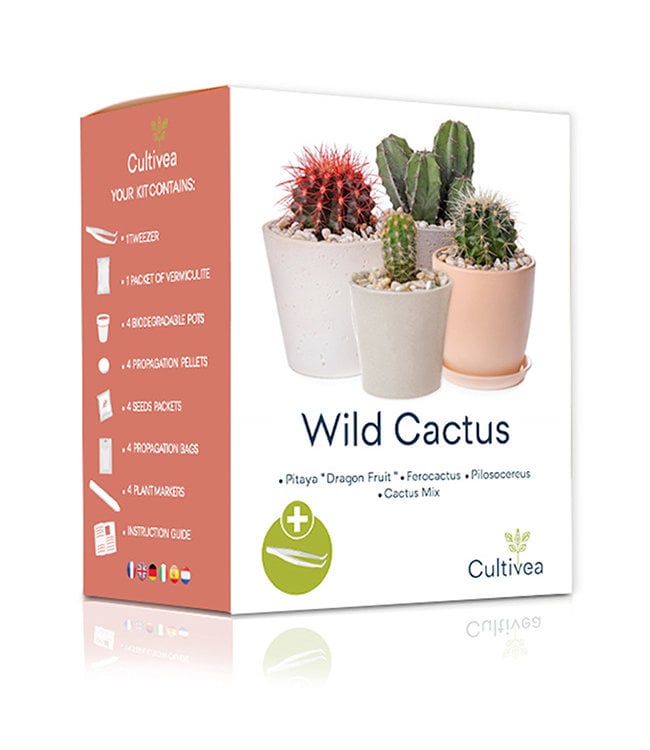 Groei je eigen Wilde Cactus