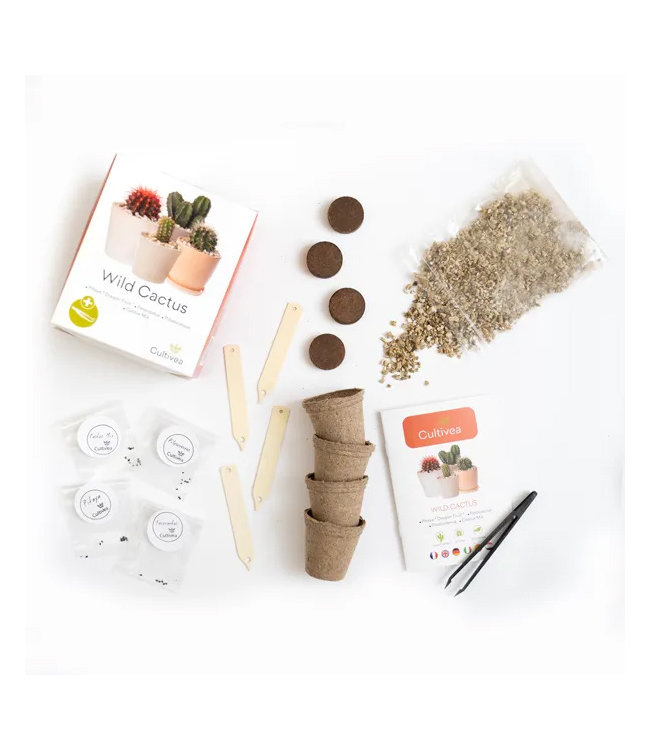 Groei je eigen Wilde Cactus