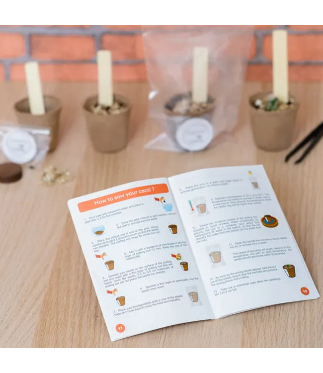 Groei je eigen Wilde Cactus