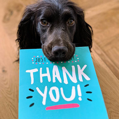 Cadeaupakket Bedankt