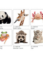 Brillendoekje Wilde Dieren
