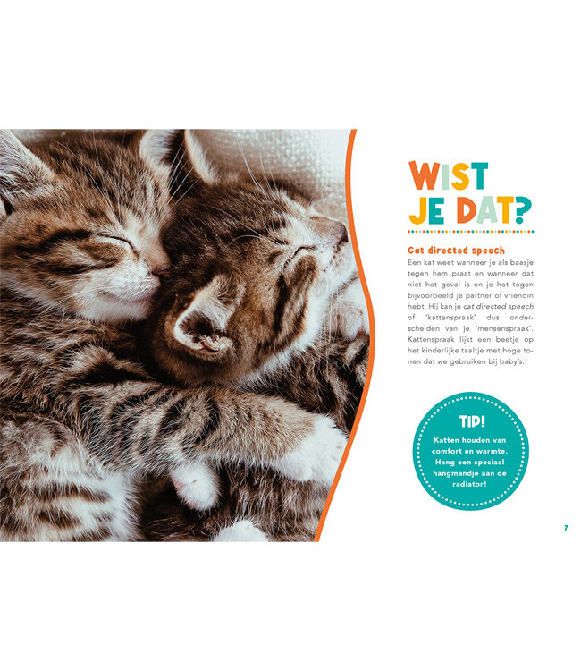 Handboek voor Kattenbaasjes