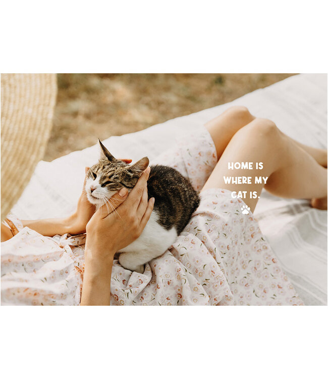 Handboek voor Kattenbaasjes