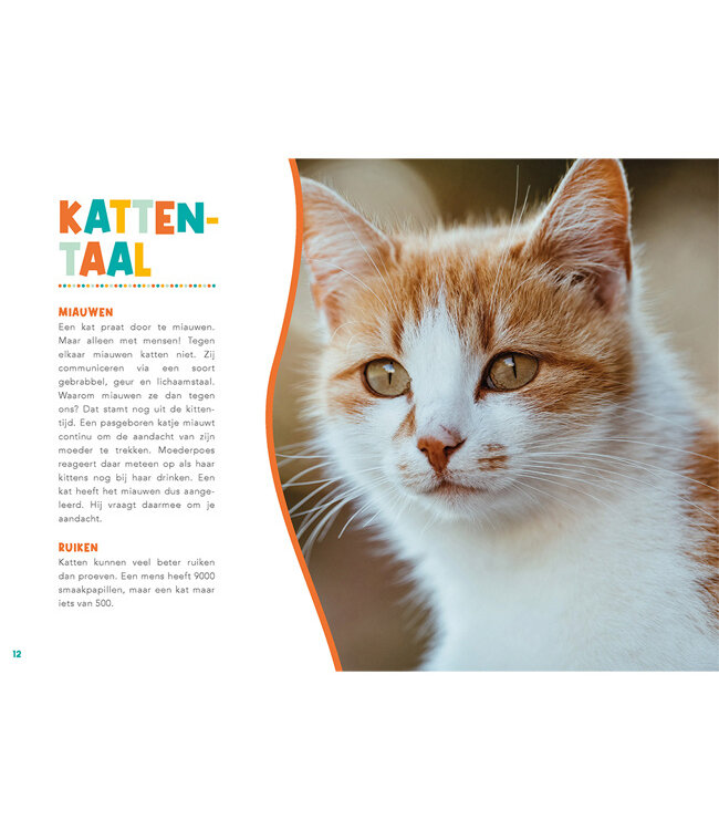 Handboek voor Kattenbaasjes