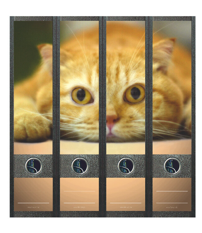 Cadeaupakket 50 jaar I love Cats