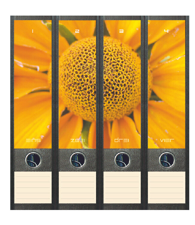 Cadeaupakket Pensioen Zonnebloemen, van Gogh