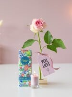 Veel Liefs - Roos - Reep -Kaars