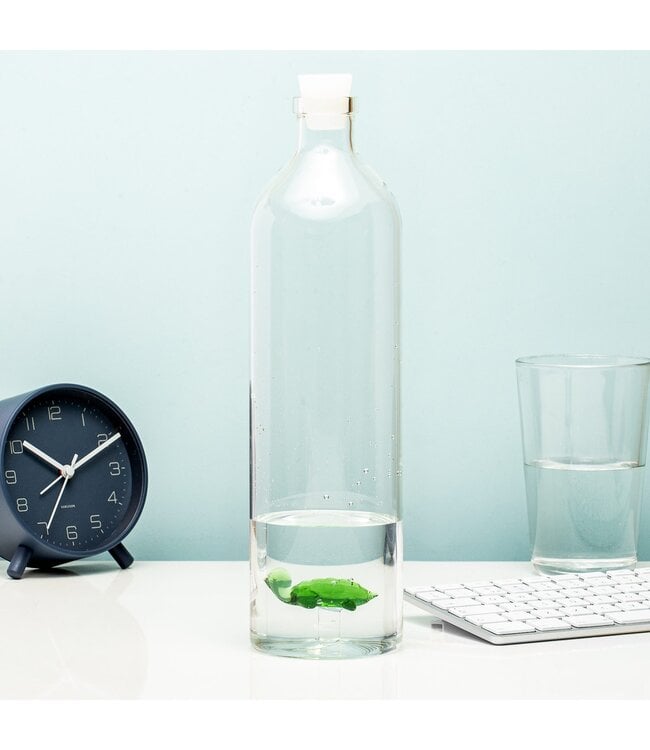 Waterfles - Zeeschildpad