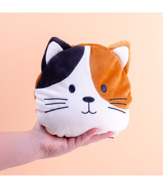 Pittenkussen Kat