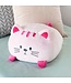 Kattenkussen - Roze
