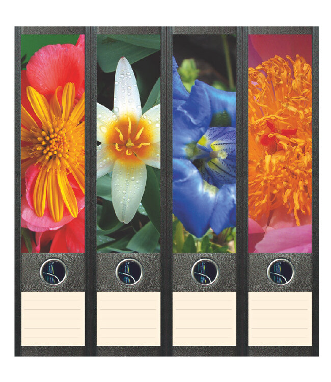 Cadeaupakket Pensioen Irissen, van Gogh