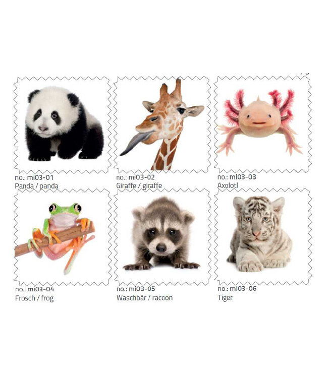 Cadeaupakket Geniet van je Pensioen