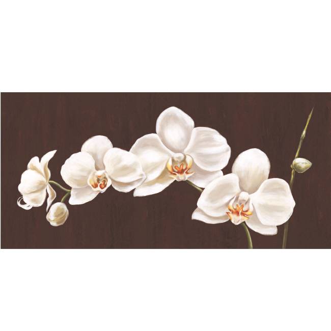 Kunstzinnige Ingelijste Posters Witte Orchidee Op Zwarte Achtergrond huismerk kopen in de aanbieding