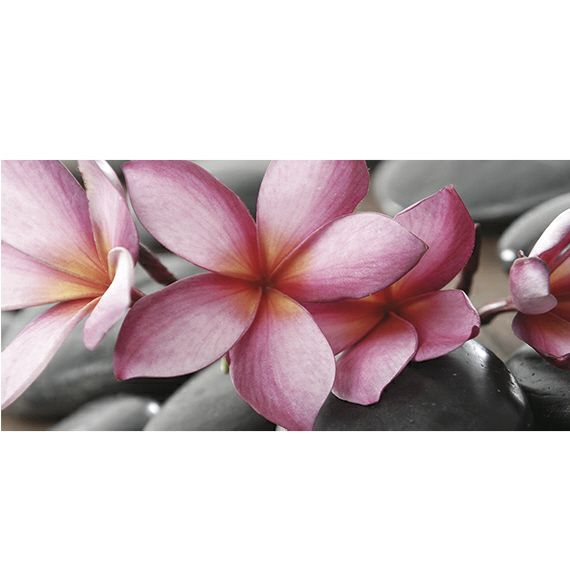 Kunstzinnige Ingelijste Posters: Bloemen Dichtbij