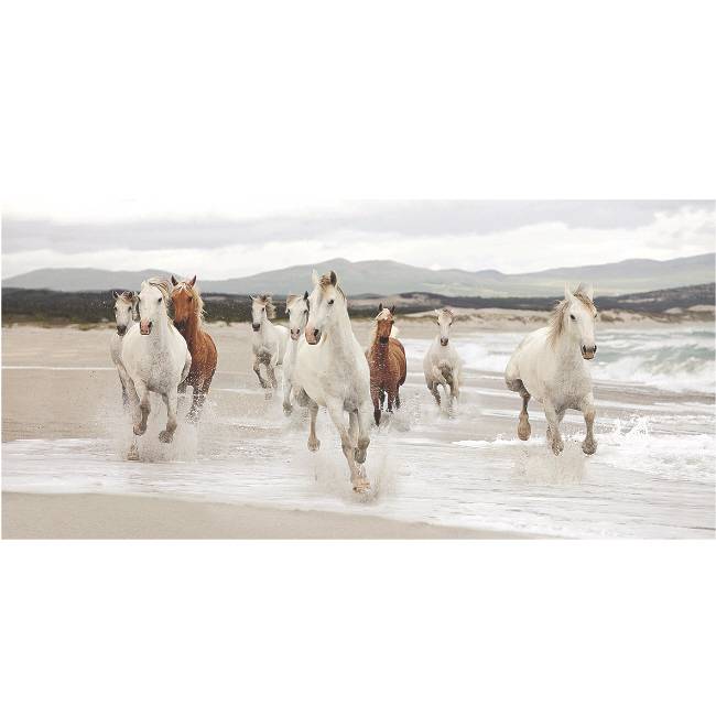 Kunstzinnige Ingelijste Posters Paarden Op Het Strand huismerk kopen in de aanbieding