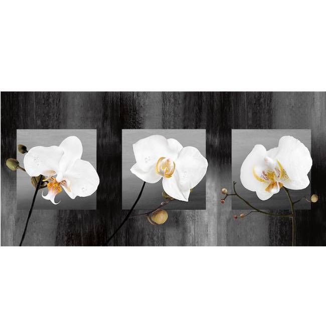 Kunstzinnige Ingelijste Posters Witte Orchideen huismerk kopen in de aanbieding