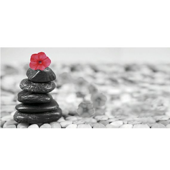 Kunstzinnige Ingelijste Posters: Zen Rode bloem op stenen