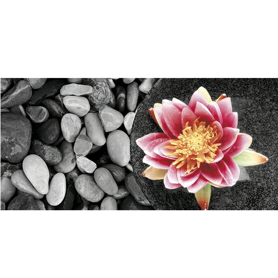 Kunstzinnige Ingelijste Posters: Zen Waterlelie op stenen
