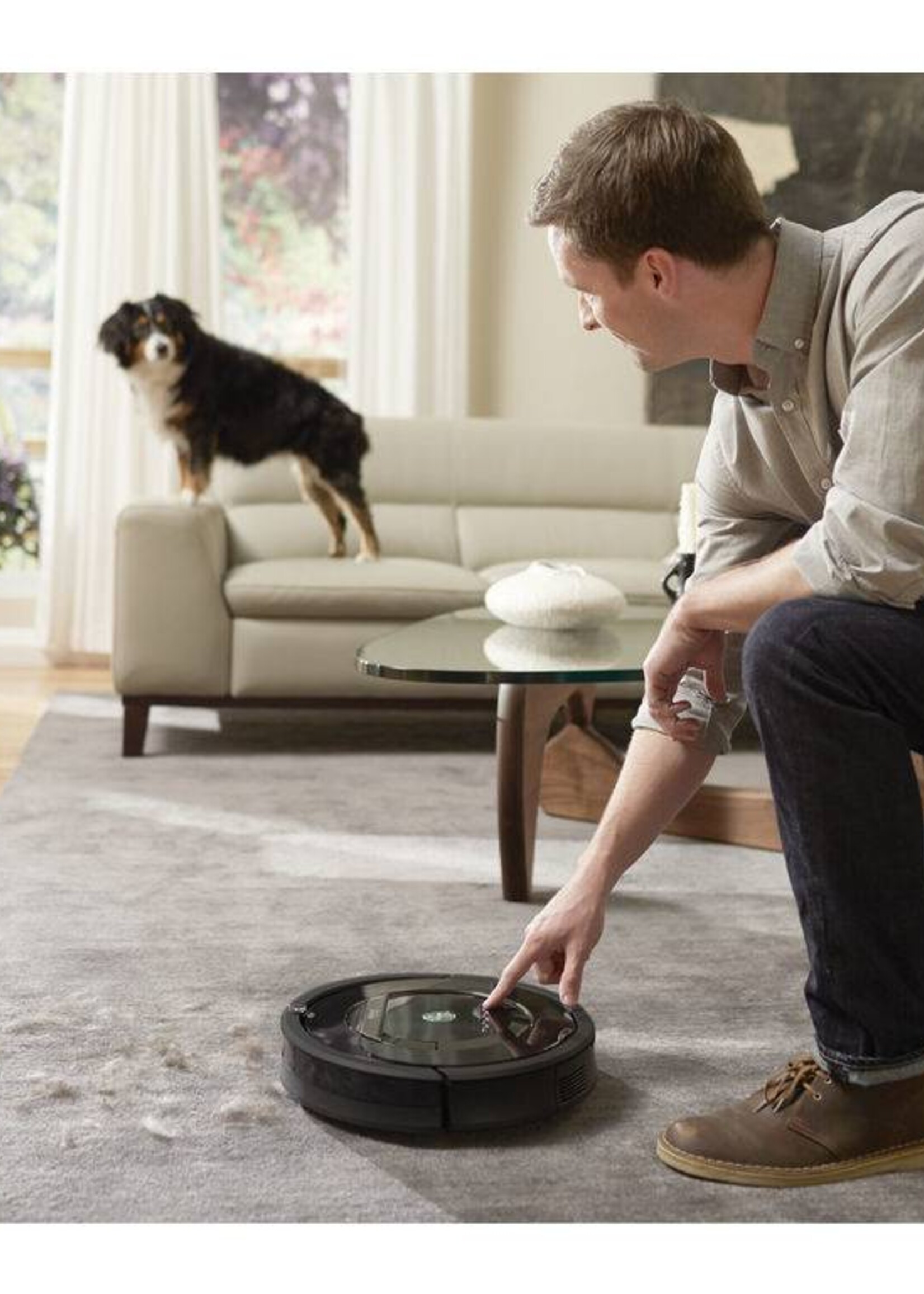 iRobot iRobot Roomba 875